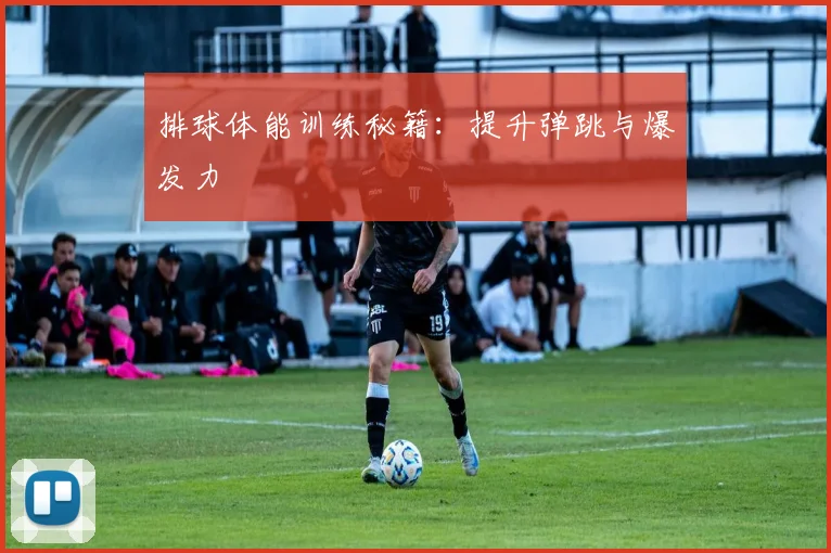 排球体能训练秘籍：提升弹跳与爆发力